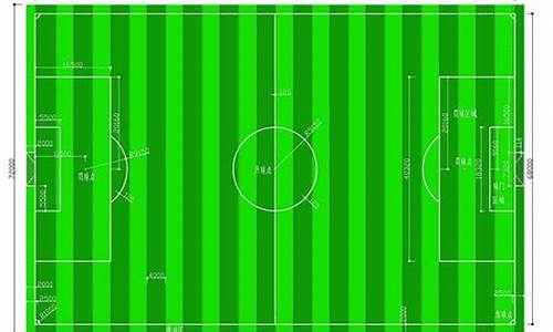 世界杯足球场的面积约七千_世界杯足球场的面积约七千平方千米